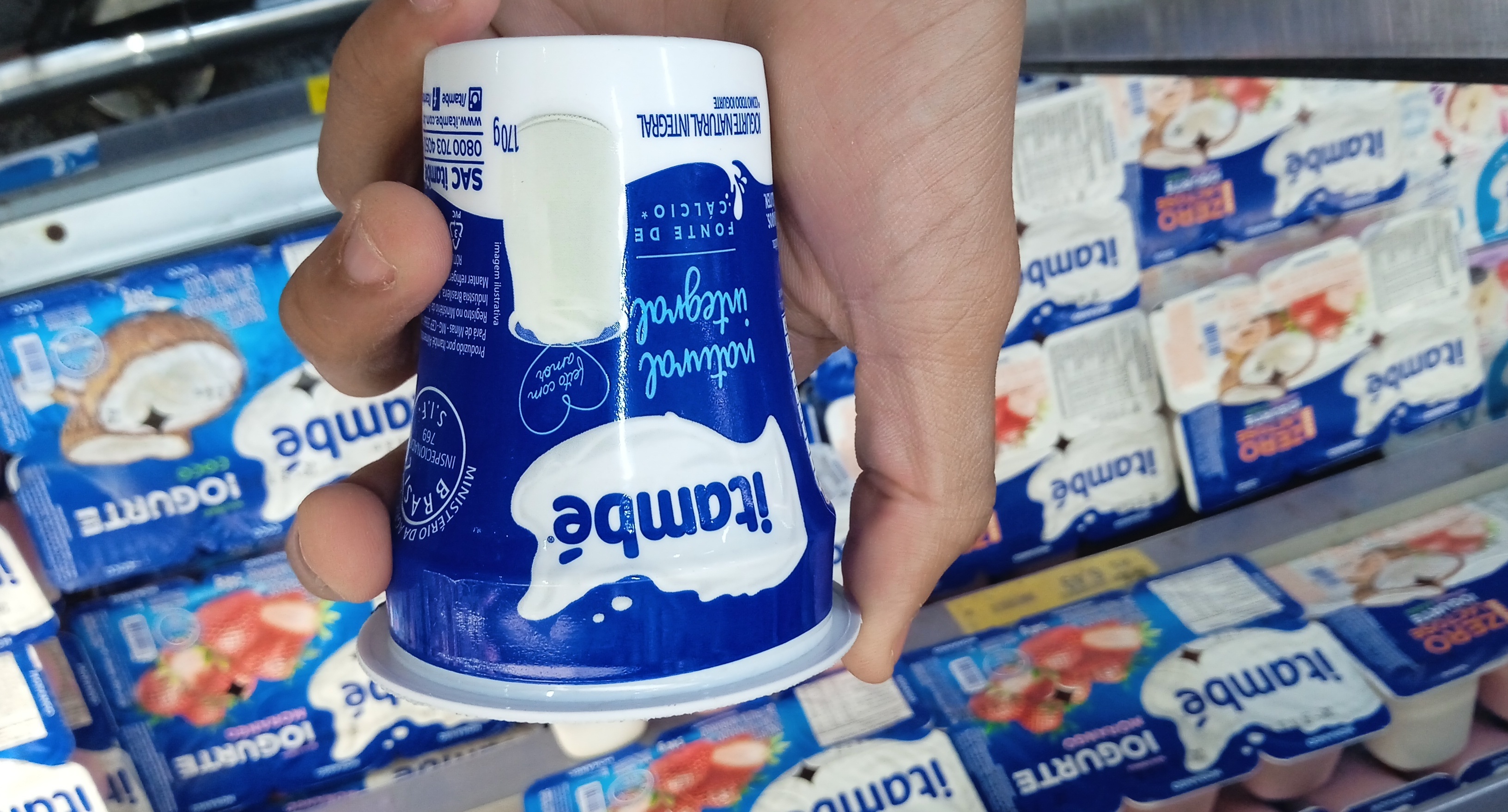 Iogurte Natural Integral