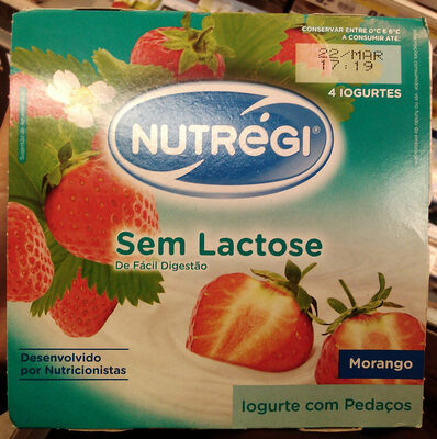 Iogurte com Pedaços Sem Lactose Morango