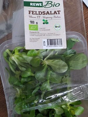Bio Feldsalat